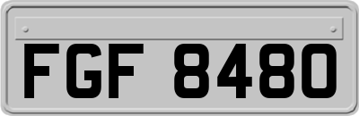 FGF8480