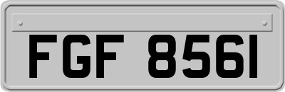 FGF8561