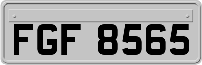 FGF8565