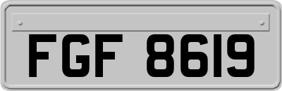 FGF8619