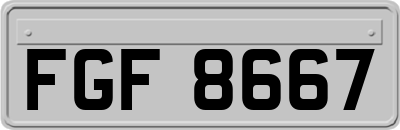 FGF8667