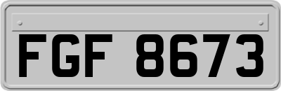 FGF8673