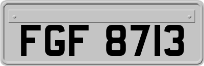 FGF8713