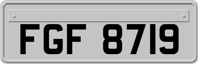 FGF8719
