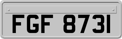 FGF8731