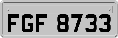 FGF8733