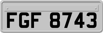 FGF8743