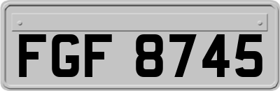 FGF8745