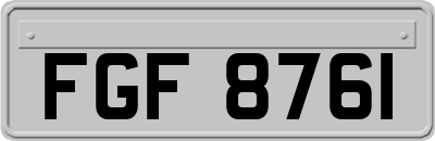 FGF8761