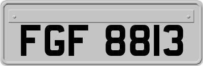 FGF8813