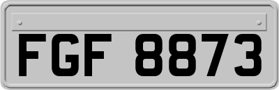 FGF8873
