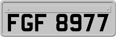 FGF8977