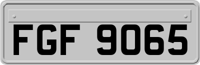 FGF9065