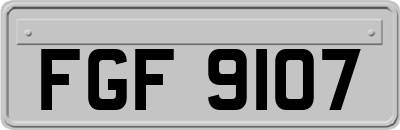FGF9107