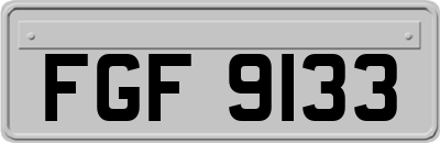 FGF9133