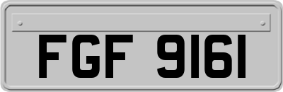 FGF9161