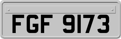 FGF9173