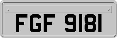 FGF9181