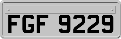 FGF9229