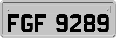 FGF9289