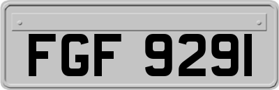 FGF9291