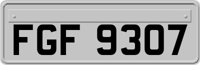 FGF9307