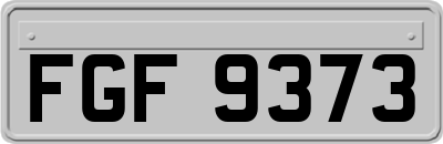 FGF9373