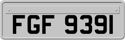FGF9391