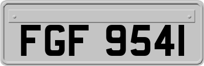 FGF9541