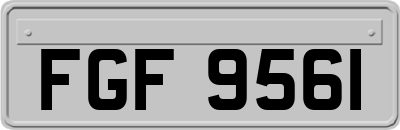FGF9561