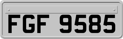 FGF9585