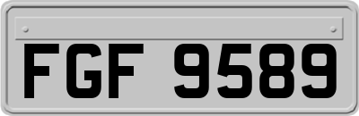 FGF9589