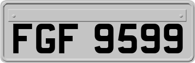 FGF9599