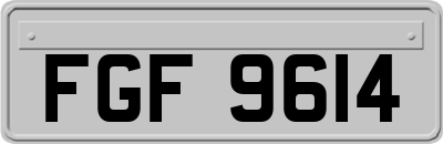FGF9614
