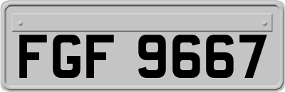 FGF9667