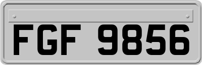 FGF9856