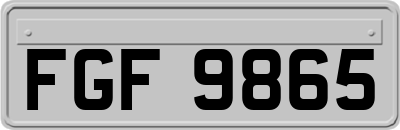 FGF9865