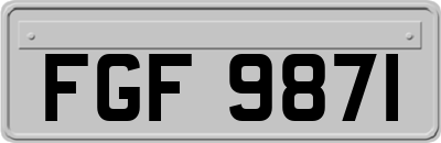 FGF9871