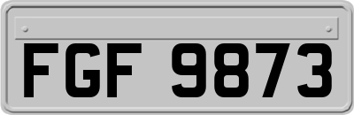 FGF9873
