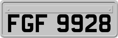 FGF9928