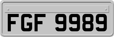 FGF9989