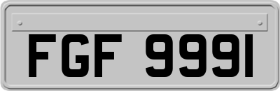 FGF9991