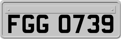 FGG0739
