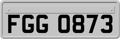 FGG0873