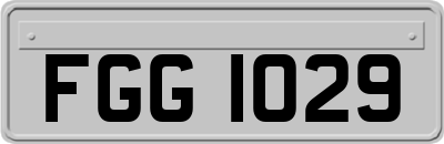 FGG1029