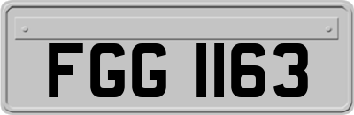 FGG1163