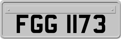 FGG1173