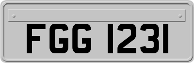 FGG1231