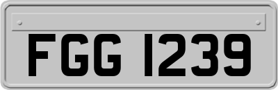 FGG1239