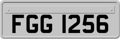 FGG1256